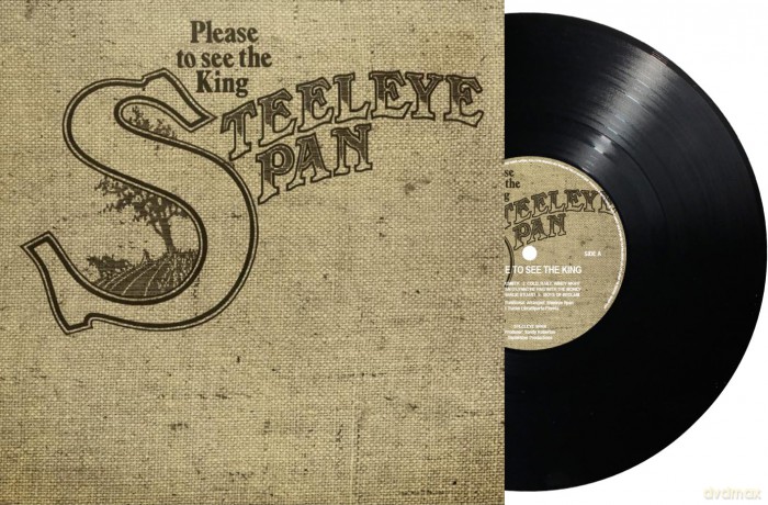 Steeleye Span: Please To See The King [Winyl]