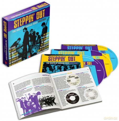 Steppin Out - The Roots Of Garage Rock 1963-1965- Clamshell Box [CD]