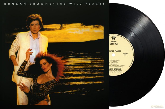 Duncan Browne: The Wild Places [Winyl]