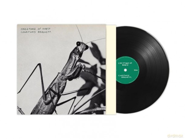 Courtney Barnett: Creature Of Habit [Winyl]