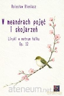W meandrach pojęć i skojarzeń - Bolesław Bieniasz [KSIĄŻKA]