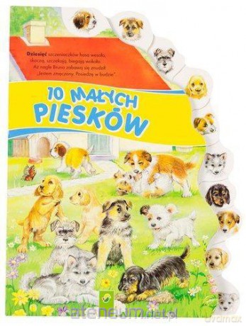 Książka obrazkowa - 10 małych piesków [KSIĄŻKA]