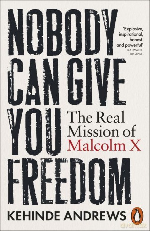 Nobody Can Give You Freedom - Kehinde Andrews [KSIĄŻKA]