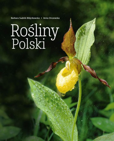 Rośliny Polski - Barbara Sudnik-Wójcikowska, Anna Orczewska [KSIĄŻKA]