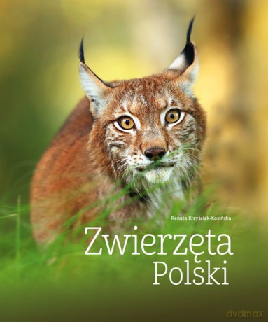 Zwierzęta Polski - Renata Kosińska [KSIĄŻKA]