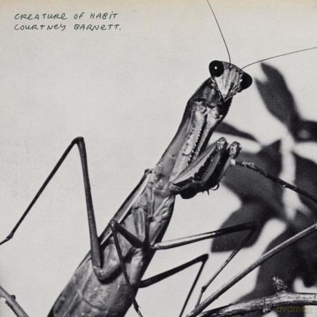 Courtney Barnett: Creature Of Habit [CD]