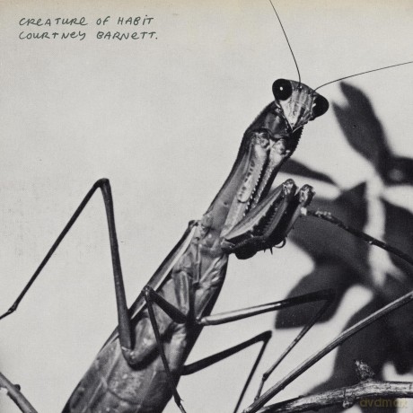 Courtney Barnett: Creature Of Habit [CD]