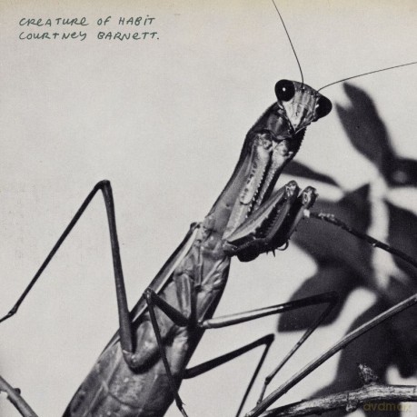 Courtney Barnett: Creature Of Habit (Marbled) (Indie) [Winyl]