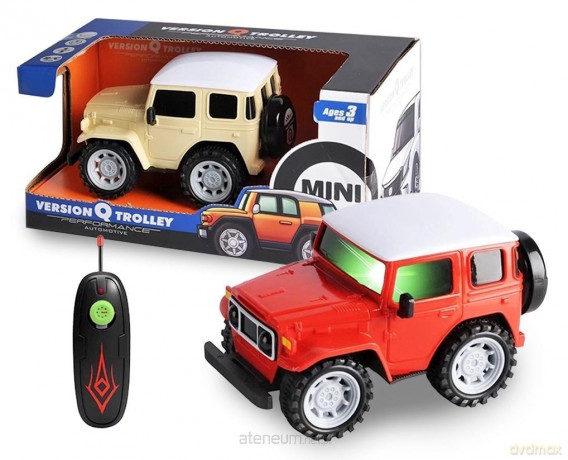 Auto zdalnie sterowane terenowe mix