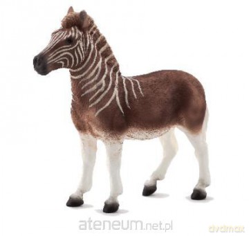 Kwagga ANIMAL PLANET