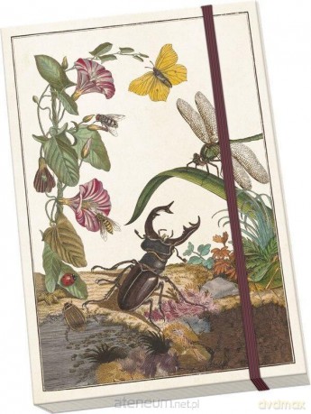 Notatnik ozdobny A5 STNOTE 150 Owady