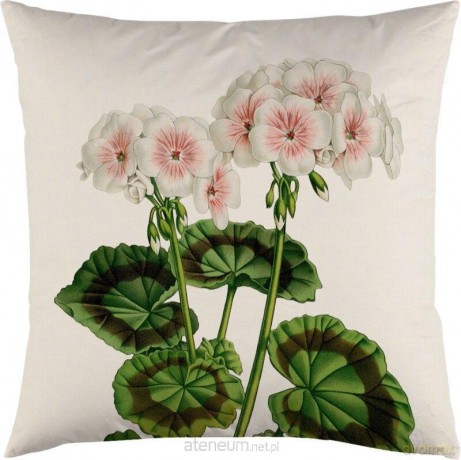 Poszewka na poduszkę 50x50 cm - Biała pelargonia