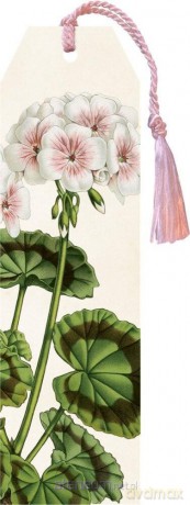Zakładka 161 ze wstążką Biała pelargonia