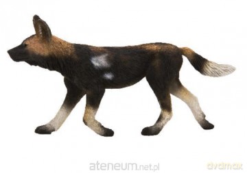 Likaon ANIMAL PLANET