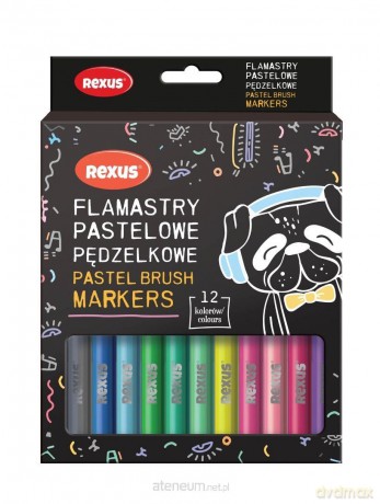 Flamastry pastelowe pędzelkowe 12 kolorów