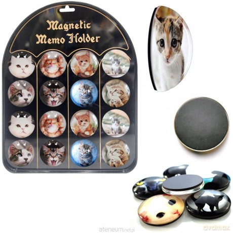 Magnesy koty (16 szt)