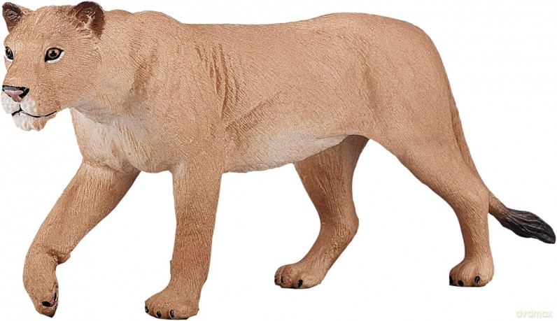 Lwica ANIMAL PLANET