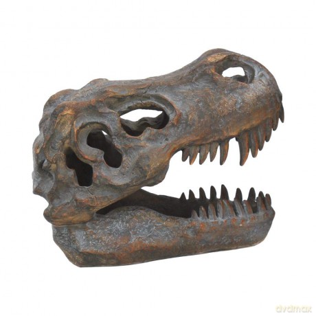 Nemesis Now Tyrannosaurus Rex Skull Freestanding 16cm D1245D5