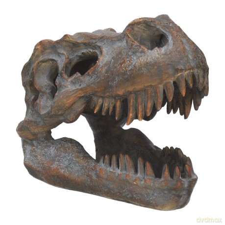 Nemesis Now Tyrannosaurus Rex Skull Freestanding 16cm D1245D5
