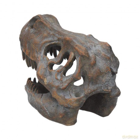 Nemesis Now Tyrannosaurus Rex Skull Freestanding 16cm D1245D5