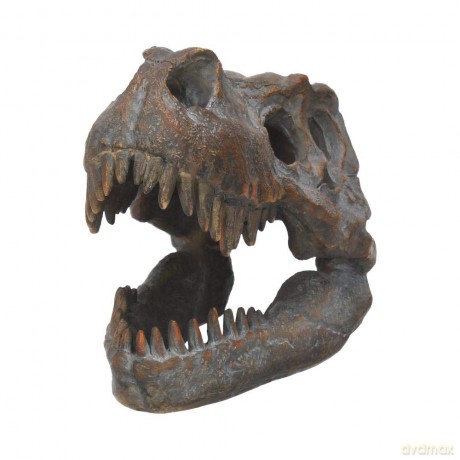 Nemesis Now Tyrannosaurus Rex Skull Freestanding 16cm D1245D5