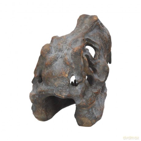 Nemesis Now Tyrannosaurus Rex Skull Freestanding 16cm D1245D5
