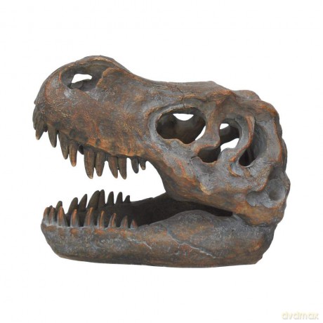 Nemesis Now Tyrannosaurus Rex Skull Freestanding 16cm D1245D5