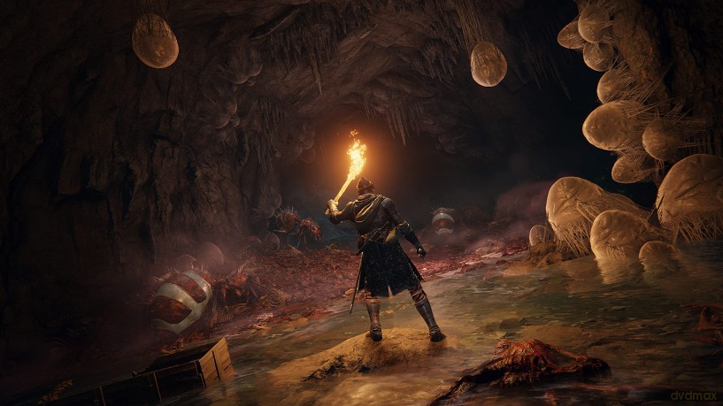 Elden Ring [GRA PS5]