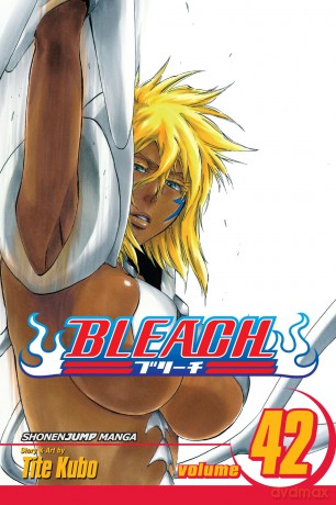 Viz Bleach Vol 42 Paperback Manga