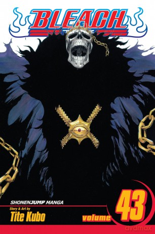 Viz Bleach Vol 43 Paperback Manga