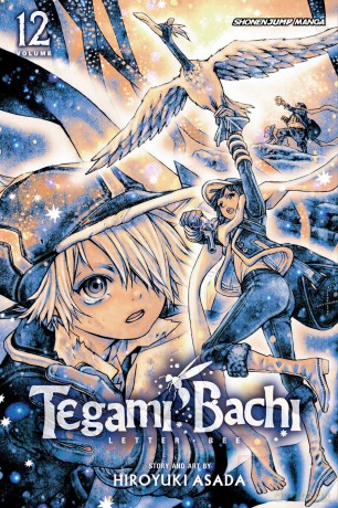 Viz Tegami Bachi GN Vol 12 Paperback Manga