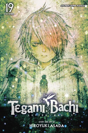 Viz Tegami Bachi GN Vol 19 Paperback Manga