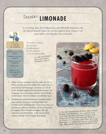 Fallout: The Official Cookbook for Vault Dwellers German Version