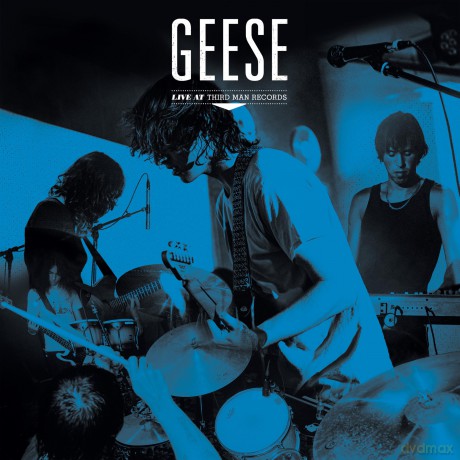Geese: Live At Third Live Records [Winyl]