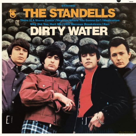 Standells: Dirty Water [Winyl]