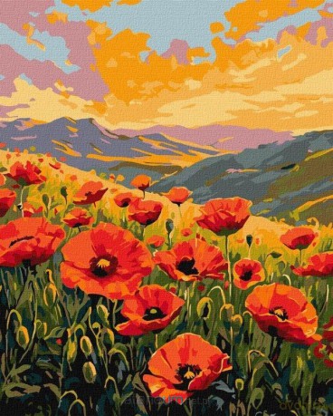 Malowanie po numerach - Cisza wśród maków 40x50 cm