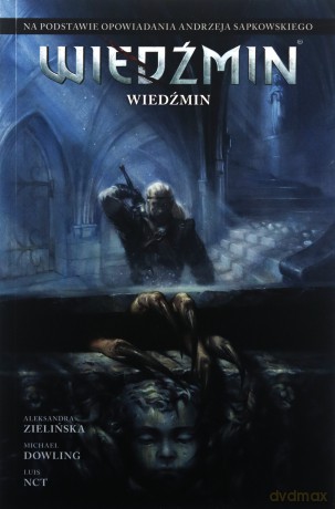 Wiedźmin. Adaptacje opowiadań Andrzeja... - Andrzej Sapkowski, Aleksandra Zielińska, Michael [KOMIKS]