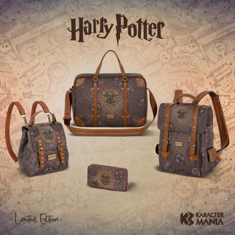Portfel Harry Potter, wymiary: 10 x 20 x 2.5 cm