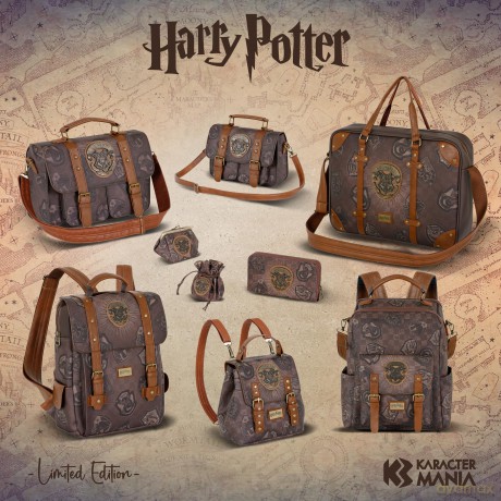 Portfel Harry Potter, wymiary: 10 x 20 x 2.5 cm