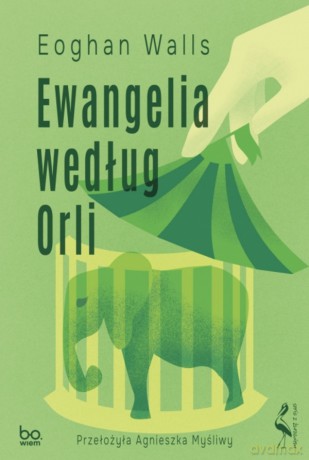 Ewangelia według Orli - Eoghan Walls [KSIĄŻKA]