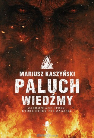 Paluch Wiedźmy - Mariusz Kaszyński [KSIĄŻKA]