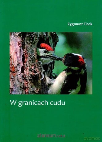 W granicach cudu - Zygmunt Ficek [KSIĄŻKA]
