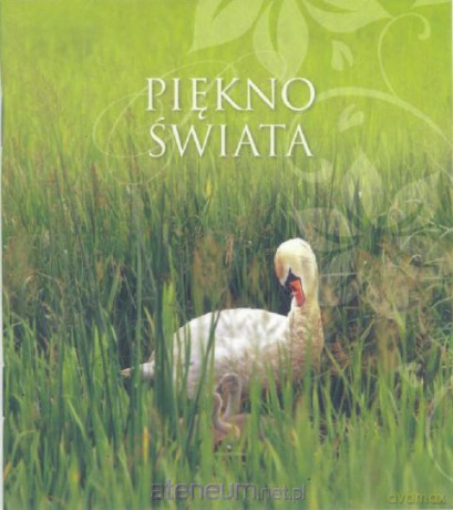 MUSZELKI - Piękno świata [KSIĄŻKA]