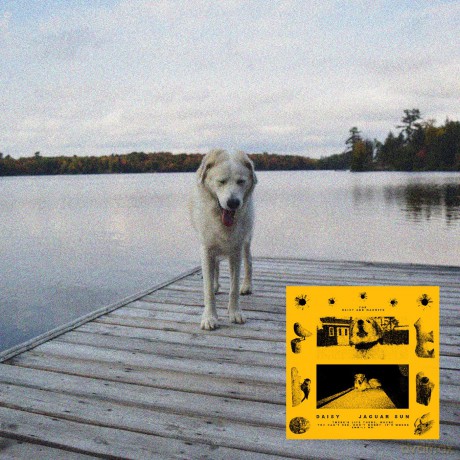Jaguar Sun: Daisy [CD]