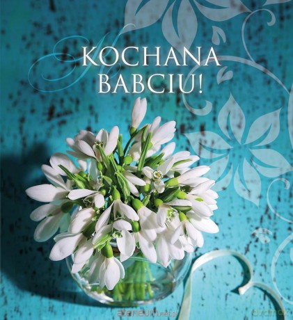 Muszelki 15 - Kochana babciu! [KSIĄŻKA]