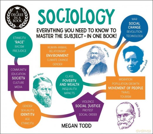 A Degree in a Book: Sociology - Sidney Perkowitz [KSIĄŻKA]