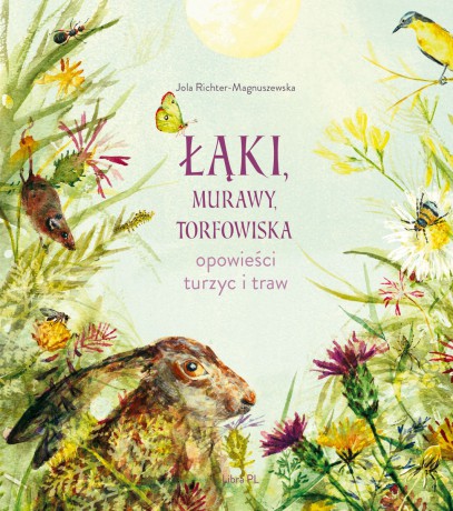 Łąki, murawy, torfowiska. Opowieści turzyc i traw - Jolanta Richter-Magnuszewska [KSIĄŻKA]