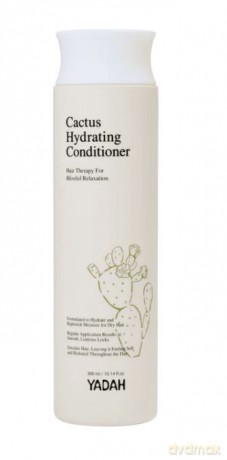 YADAH Cactus Odżywka do włosów 300 ml