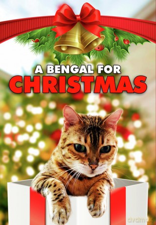 A Bengal For Christmas [DVD]