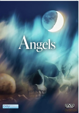Angels [DVD]
